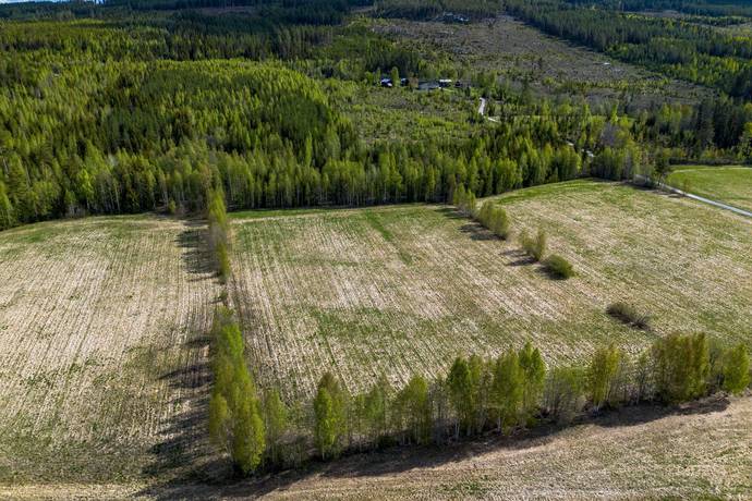 Gård/skog på Edsmon 151 Sollefteå kommun - bild 4
