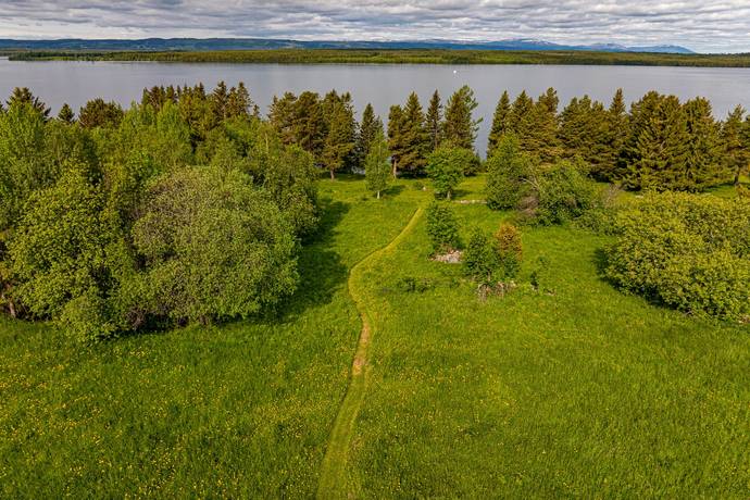 Gård med jordbruk på Salom Bergs kommun - bild 36