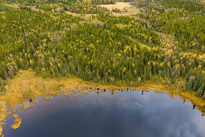 Åberg, Alsen, Krokoms kommun