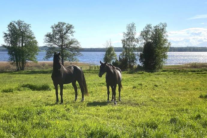9 rum Gård utan jordbruk på Flatvik 610  Flatvik Karlstads kommun - bild 6