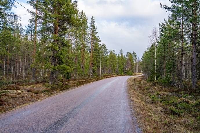 Gård/skog på Nederhögen Bergs kommun - bild 14