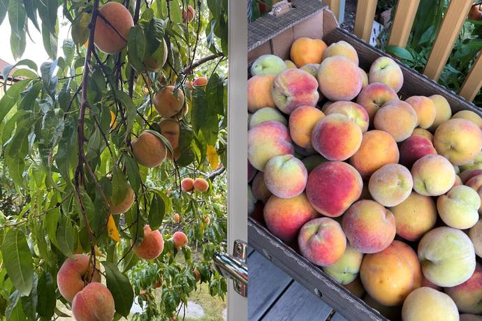 6 rum Villa på Ruddammsvägen 12 Säby Gård Österåkers kommun - bild 64