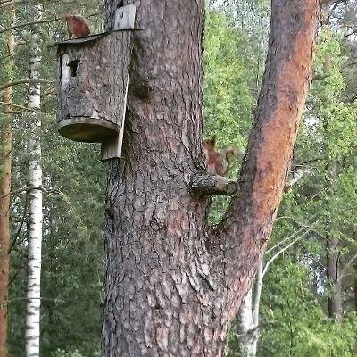 4 rum Fritidshus på Söderby 76 Öregrund Östhammars kommun - bild 54