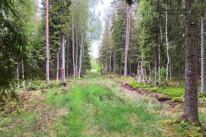 Gård med jordbruk på Dannäs Jonsbo 4 Dannäs ca 4 km från sjön Bolmen Värnamo kommun - bild 34