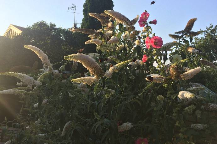4 rum Radhus på Blomstergården 15 Hjärup Staffanstorps kommun - bild 49