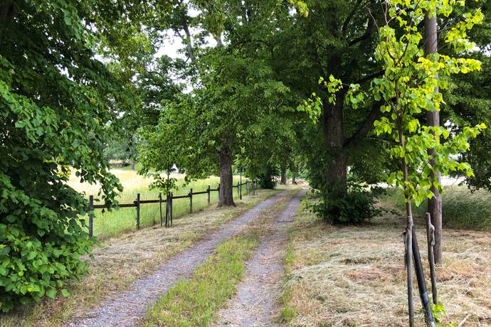 5 rum villa på Danmarks-Säby 56 DANMARK, Uppsala kommun - bild 3