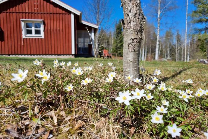 1 rum Fritidshus på Djursjön 220 Djursjön Leksands kommun - bild 15