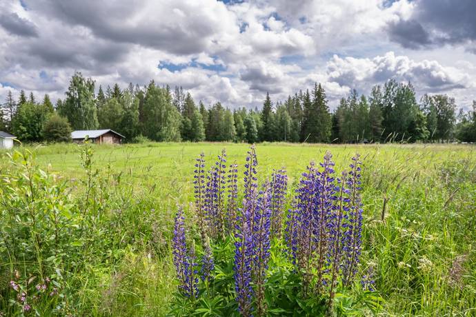 Adress saknas, Ånge, Ånge kommun