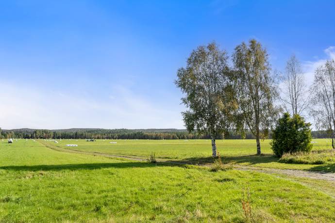 5 rum Villa på Orrböle 4 Tväråbäck/Orrböle Vännäs kommun - bild 11