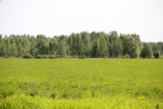 Gård/skog på Ale Ale Luleå kommun - bild 12