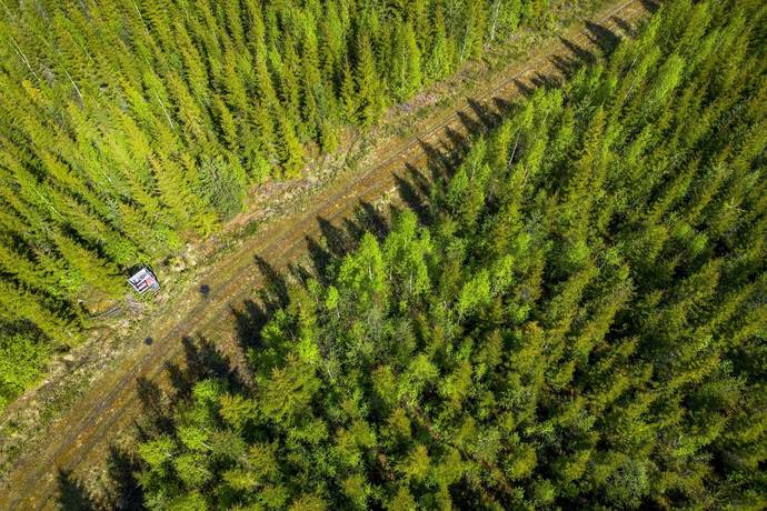 Gård med skogsbruk på Sollefteå Moflo 5:28 Moflo Sollefteå kommun - bild 29
