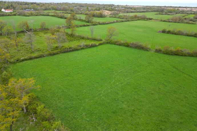 6 rum Gård med jordbruk på Loftagatan ÖLAND N BORGHOLM Borgholms kommun - bild 43