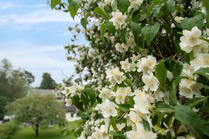 5 rum Villa på Björkvägen 8 Lilla Edets kommun - bild 31