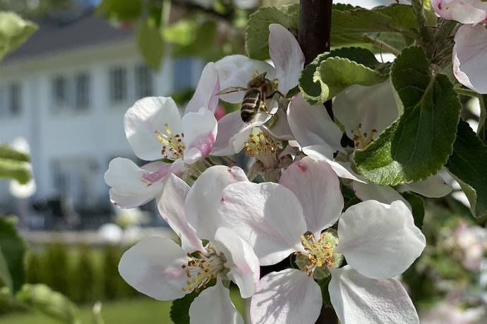 6 rum parhus på Ardennervägen 2h Svinninge, Österåkers kommun - bild 1