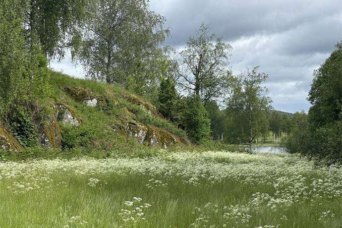 6 rum Gård/skog på Navarsviken Vik 1 Östervallskog Årjängs kommun - bild 4