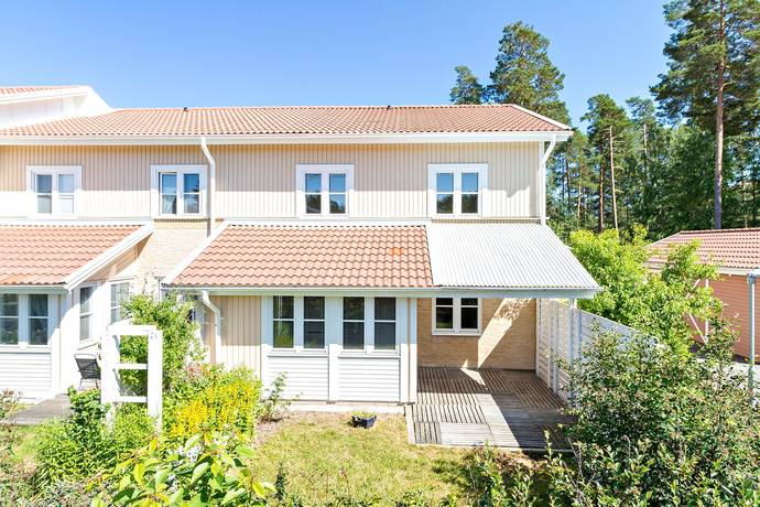Den frsvann under ett par mnader men nu r den tillbaka s vi gr att frsk till hr Min granne sker fr stakars lilla kattunge (ungefr 10 mnader)?Katten r mycket snll och gullig. Svartvit lnghrig katt upphittad i Svja, Uppsala-0 Hittade katter - patient-survey.net