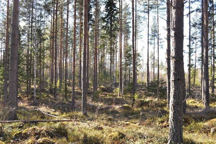 Östervåla, Heby kommun