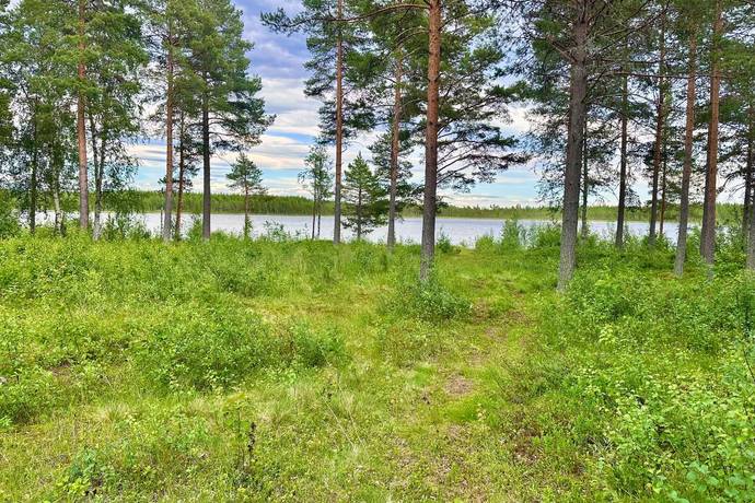 gård/skog på Mosätt 249 Mosätt, Härjedalens kommun - bild 4