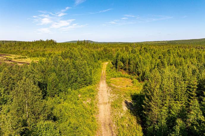 gård/skog på Ocksjön Bräcke, Bräcke kommun - bild 4