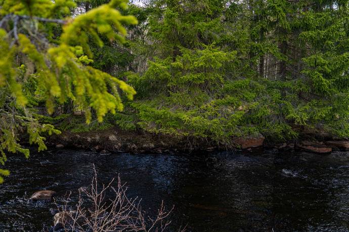 Gård/skog på Nederhögen Bergs kommun - bild 15