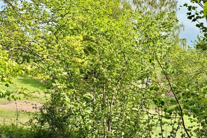 2 rum Fritidshus på Forsythiagången 160 Kölnan Malmö kommun - bild 8
