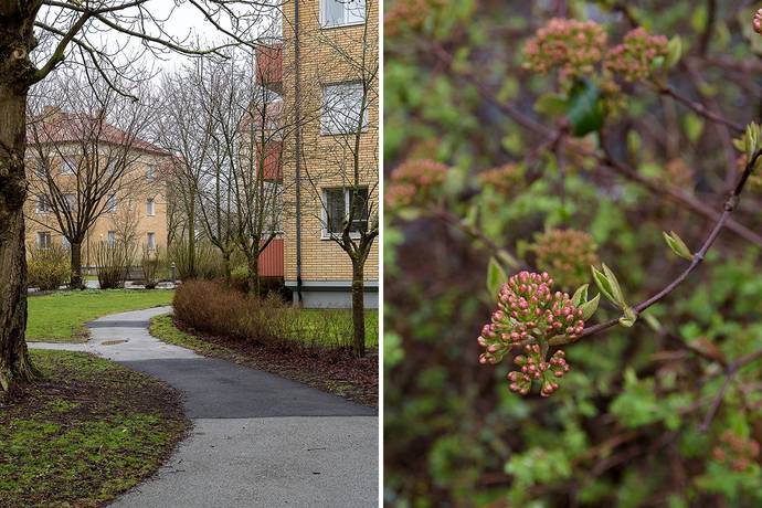 2 rum Lägenhet på Köpenhamnsvägen 32 A Slottsstaden Malmö kommun - bild 25