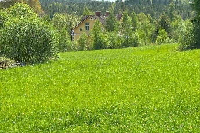 Gård utan jordbruk på Hällahester 1 Hällahester, Eksjö Eksjö kommun - bild 77