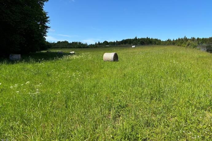Gård/skog på Bösarp 1:21, 1:24 och 1:38 Kristianstads kommun - bild 3