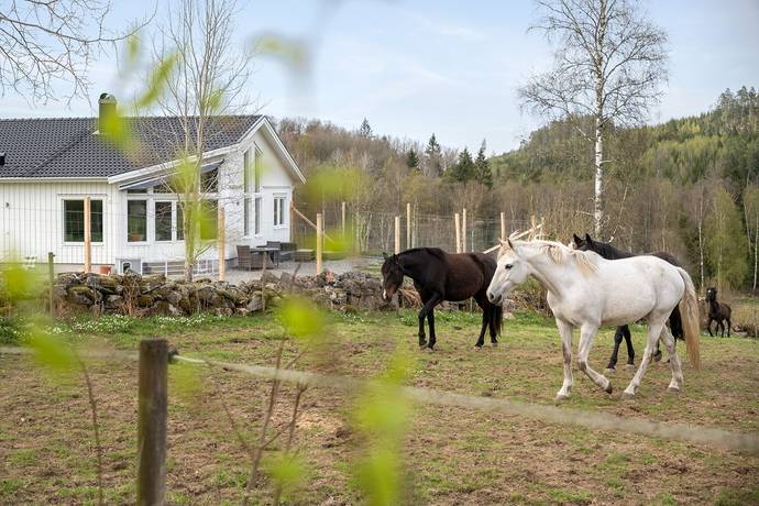 5 rum gård utan jordbruk på Hjälmrydsvägen 22 Bredared, Borås kommun - bild 1