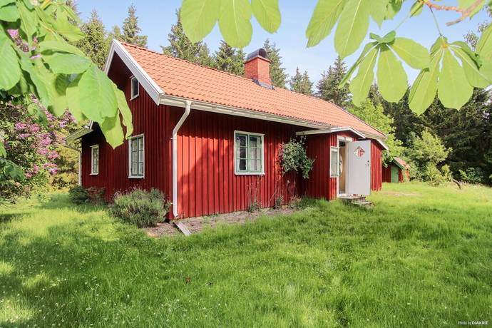 Djurens vänner lidköping hundar