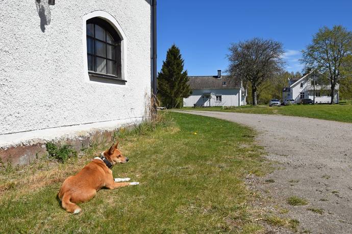 10 rum Gård/skog på Baggekulla 101, 102, 103, 104 Västergötland Ulricehamns kommun - bild 83