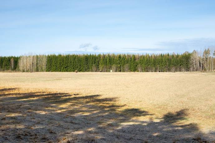 Gård med skogsbruk på Skärsjö 168 och 170 Skärsjö Heby kommun - bild 3