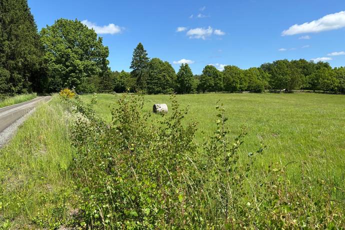Gård/skog på Bösarp 1:21, 1:24 och 1:38 Kristianstads kommun - bild 2