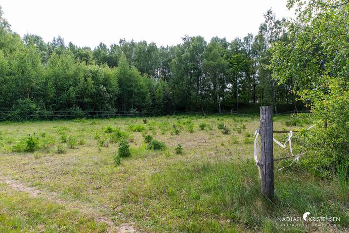 7 rum Gård/skog på Sandby 1651 Sandby Mosse Lunds kommun - bild 39