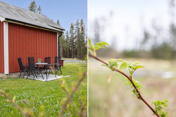 2 rum Gård med jordbruk på Tranbyn Ränniln 112 Alunda Östhammars kommun - bild 24