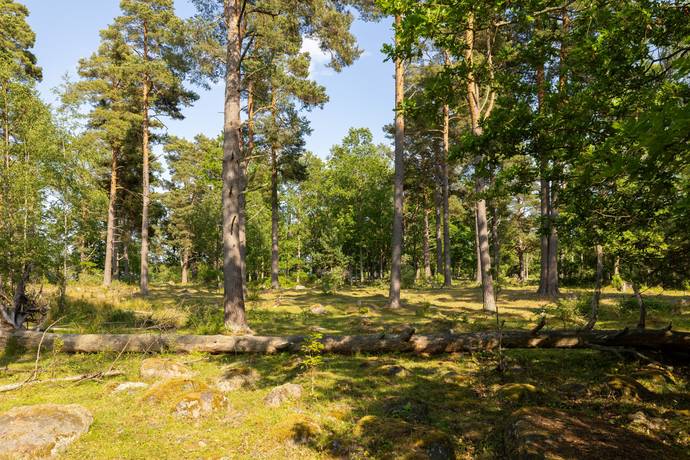 Gård utan jordbruk på Hasselö Vedhälla Hagaslätt  (del av fastigheten) Hasselö Västerviks kommun - bild 10