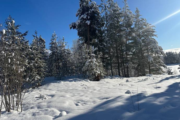 Gård/skog på Sångsjövägen 3 Västansjö Härjedalens kommun - bild 6