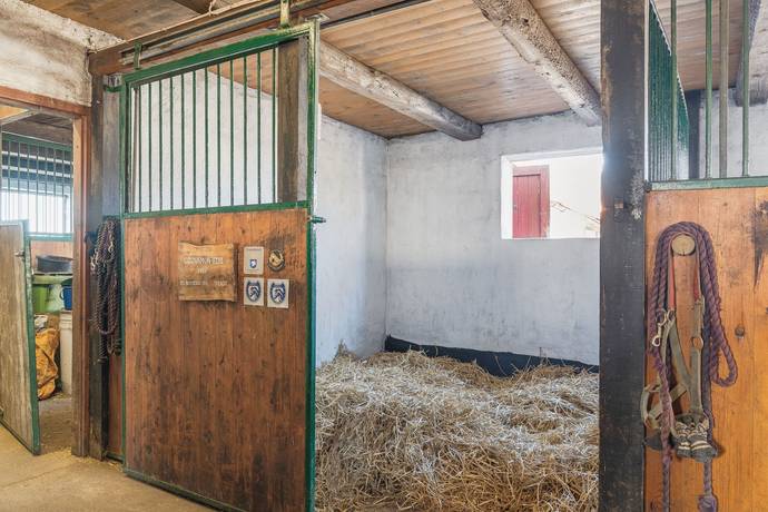 Gård utan jordbruk på Kyrkvägen 27 Österlen Simrishamns kommun - bild 50