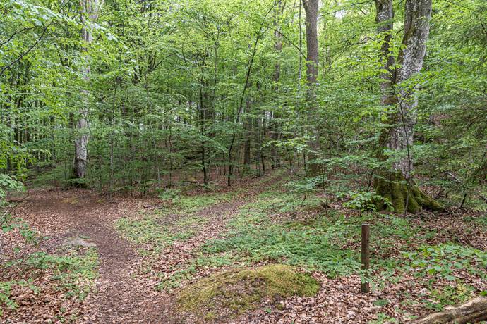 Tomt på Tormestorp Tormestorp Hässleholms kommun - bild 8