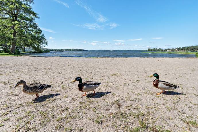 2 rum Lägenhet på Drivbänksvägen 13a Hässelby - Hässelby villastad Stockholms kommun - bild 28