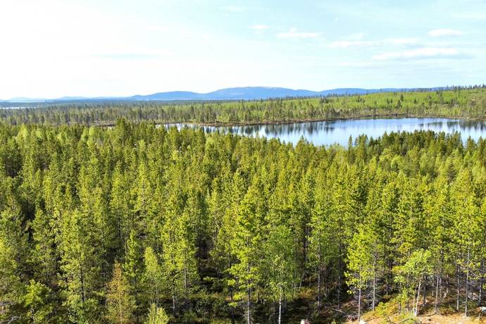 gård med skogsbruk på Arjeplog Arjeplogs Skolbord 1:5 Arjeplog, Arjeplogs kommun - bild 3