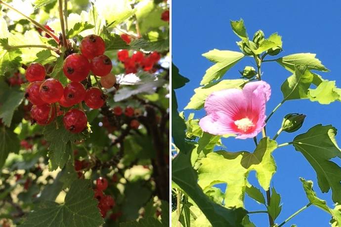4 rum Villa på Pilos väg 11 Vitaby Simrishamns kommun - bild 37