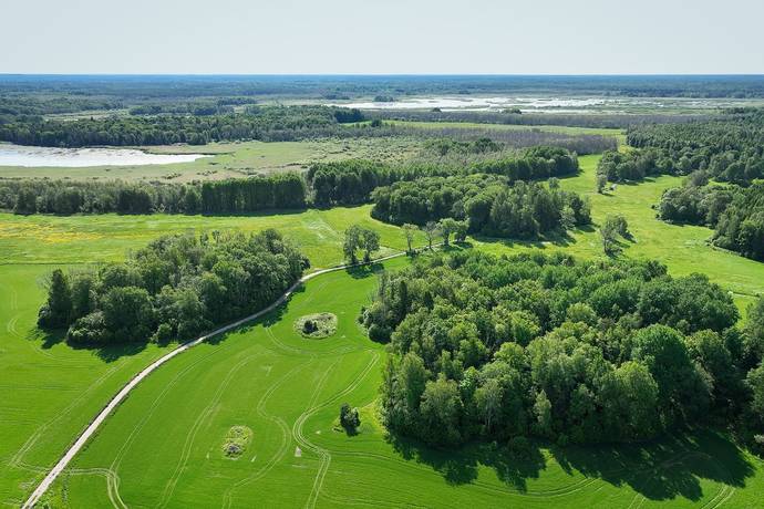 10 rum Gård/skog på Harbonäs säteri Heby- Uppland Heby kommun - bild 26