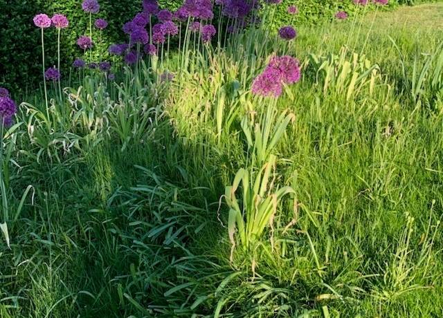 6 rum Villa på Snickarvägen 4 Foghammar Östhammars kommun - bild 27