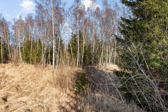 Tomt på Östernäs byväg 35 Östernäs Norrtälje kommun - bild 4