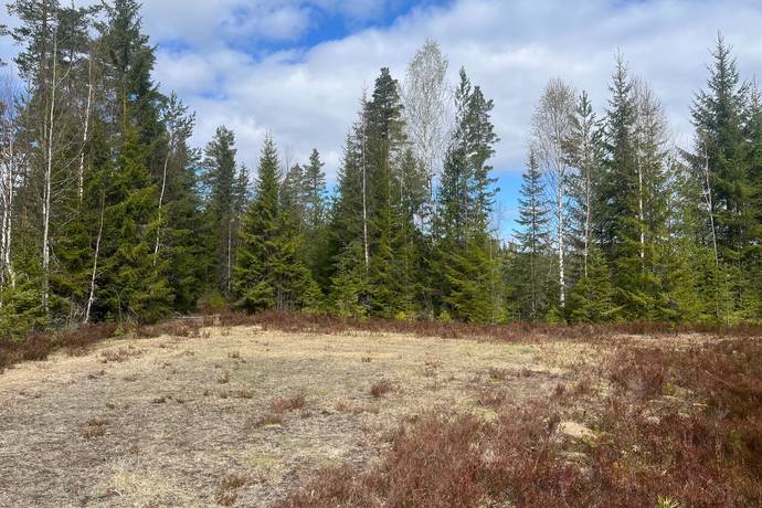 Gård med skogsbruk på Leksand Ytteråkerö 21:21 Björberget Leksands kommun - bild 25