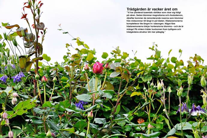 4 rum Villa på Gärarp 1118 Tomelilla kommun - bild 25