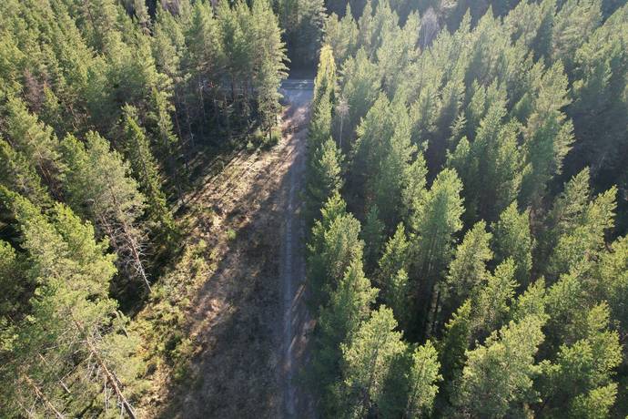 gård med skogsbruk på Mindre skogsfastighet intill Piteälven Långnäs, Piteå kommun - bild 2
