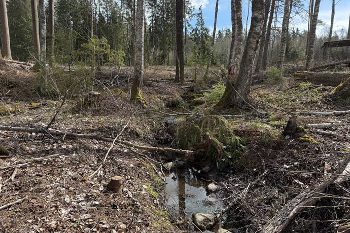 Tomt på Grava-Rud 888 Rudskogen Karlstads kommun - bild 14