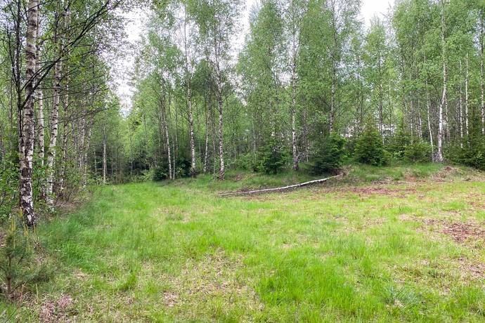 Gård med jordbruk på Dannäs Jonsbo 4 Dannäs ca 4 km från sjön Bolmen Värnamo kommun - bild 36